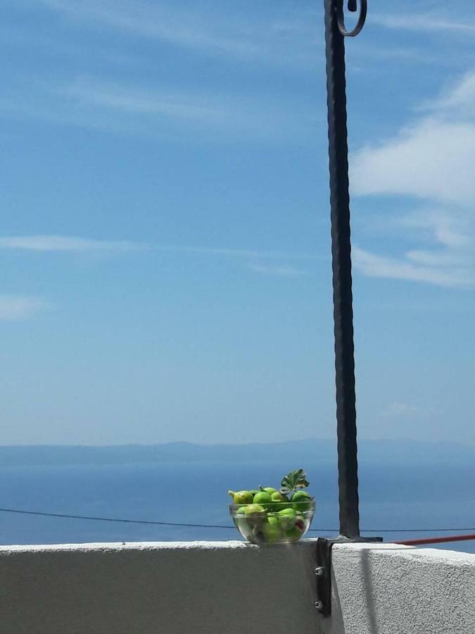 Mala Cele Apartment Podgora Exterior photo